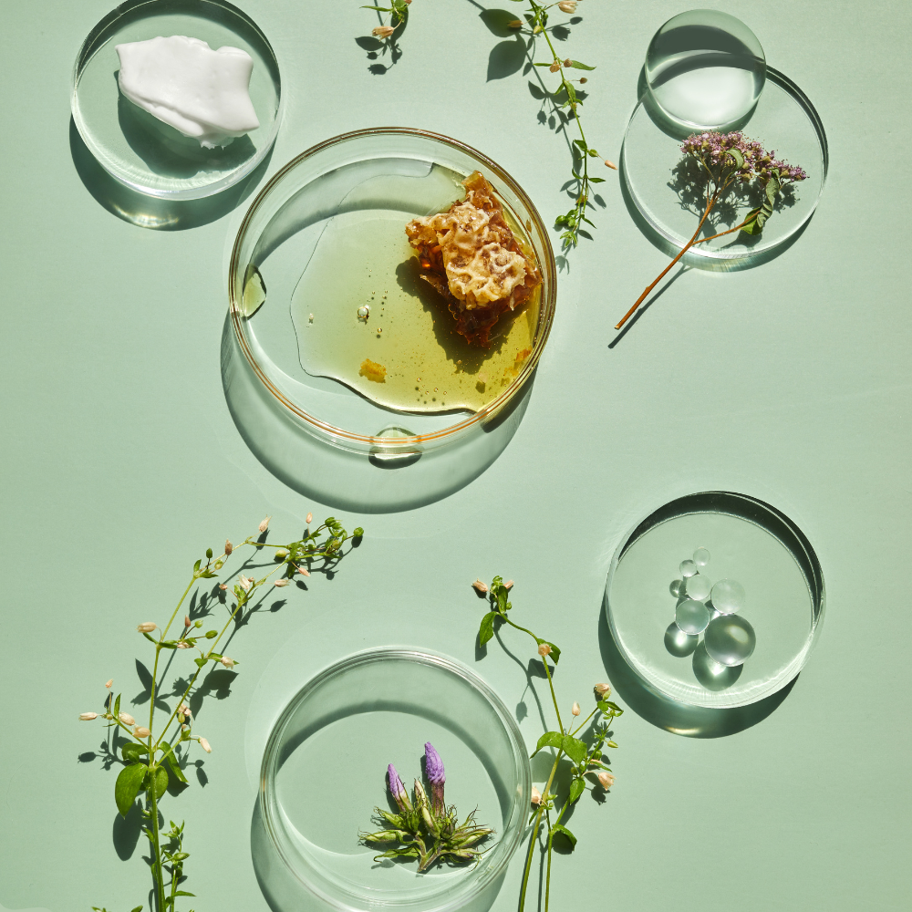 safe non toxic ingredients for clean skincare